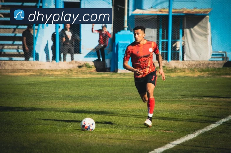 大红鹰官网平台生态图